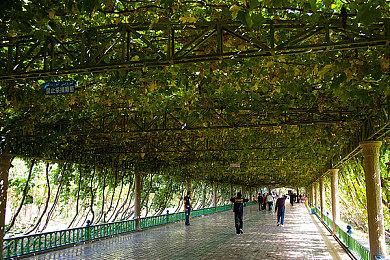 国风开放世界动作RPG《烽火与炊烟》官博已上线